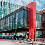 Inscrição Municipal SP: Como emitir e consultar Inscrição Municipal SP