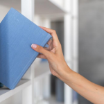 Livro Razão: O que é e para que serve Livro Razão