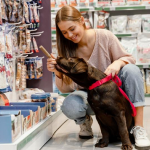 Como montar um pet shop de sucesso